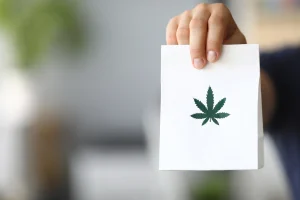 Cannabis Apotheke