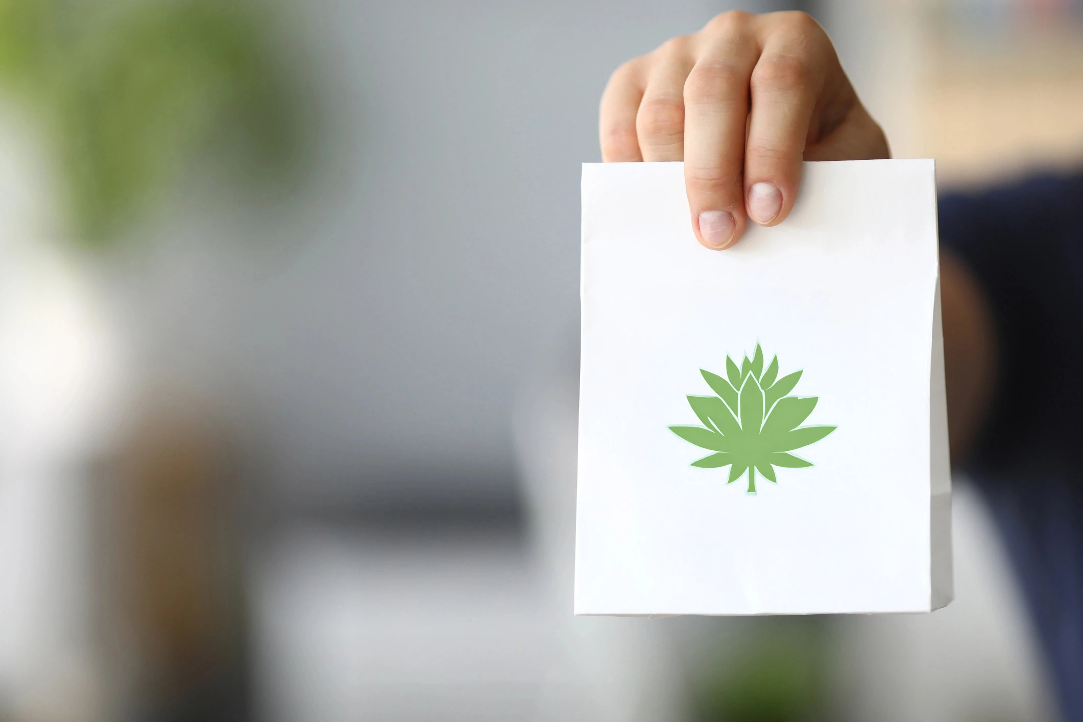 Cannabis Apotheke