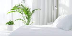 Besser schlafen Schlafprobleme Cannabis