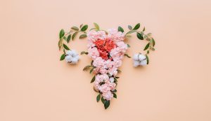 Abstrakteres Bild eines Uterus