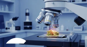 cannabis aktuelle studien