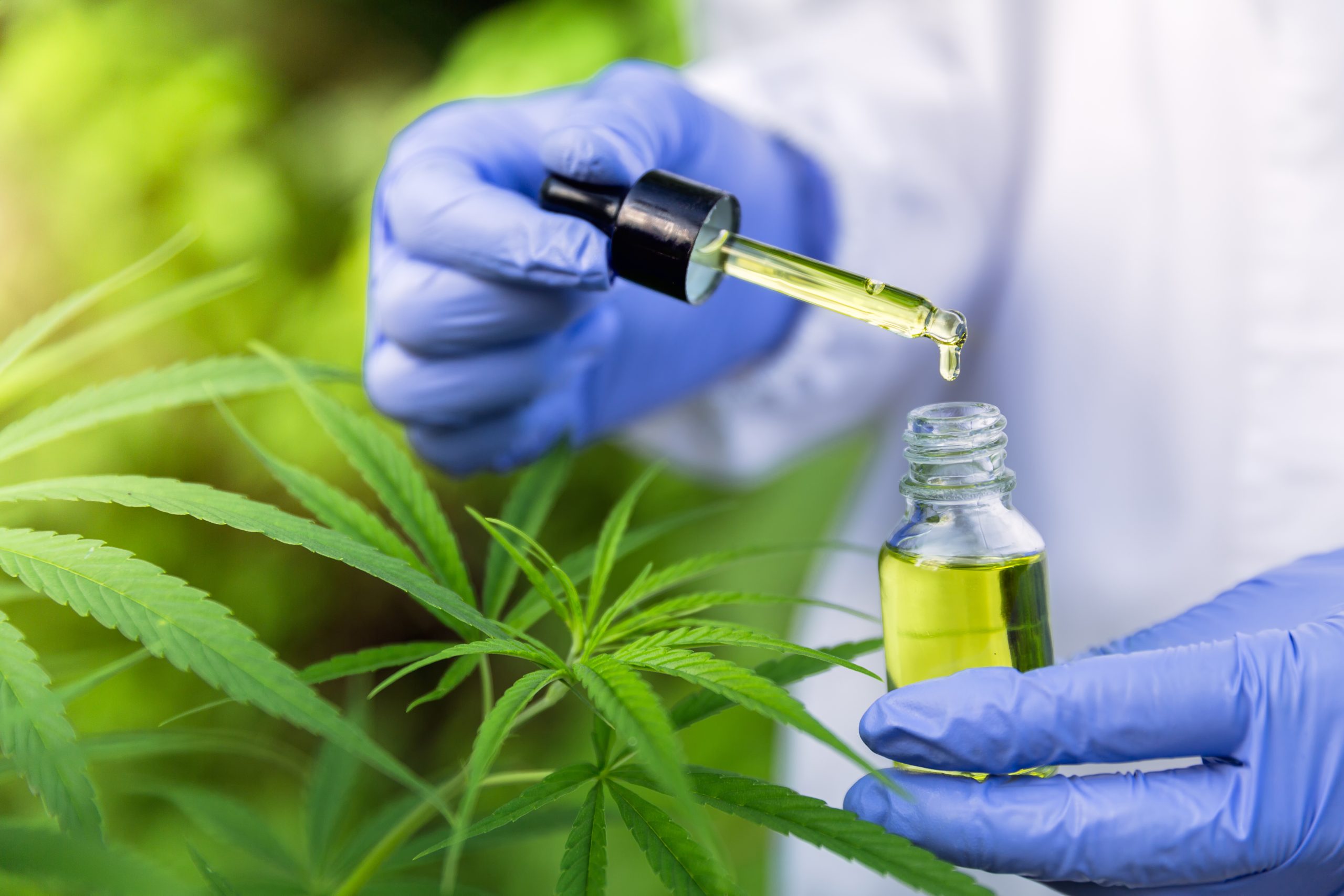 Cannabis auf Rezept